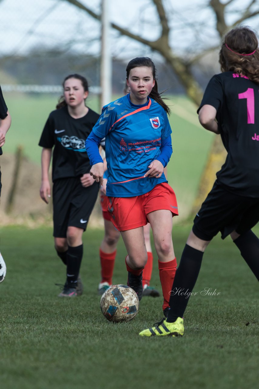 Bild 74 - C-Juniorinnen SV Steinhorst/Labenz - TSV Friedrichsberg-Busdorf : Ergebnis: 5:0